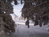SWZ_Winter 2006 2 173